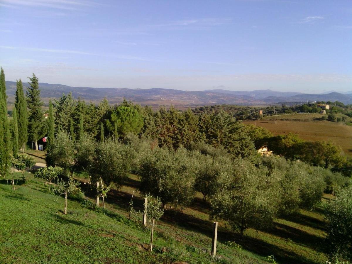 B&B La Piaggia Монтемерано Экстерьер фото